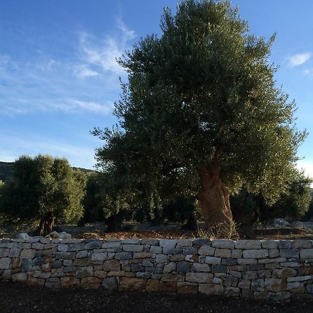 Masseria Capece 佩兹迪格雷科 外观 照片