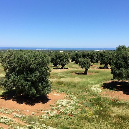 Masseria Capece 佩兹迪格雷科 外观 照片